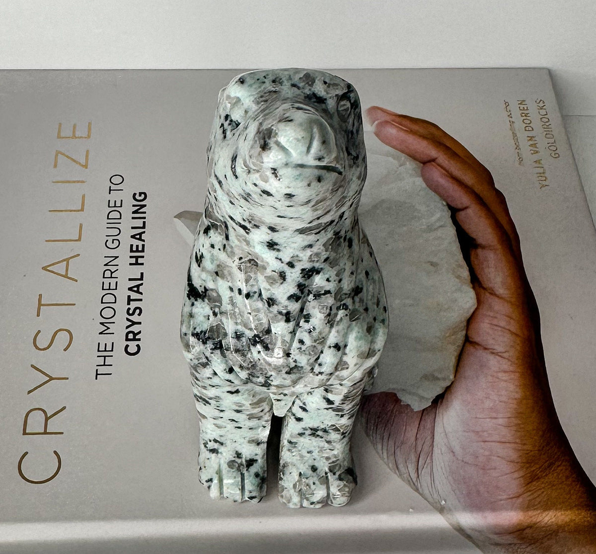 Large Kiwi Jasper Crystal Wolf Carving