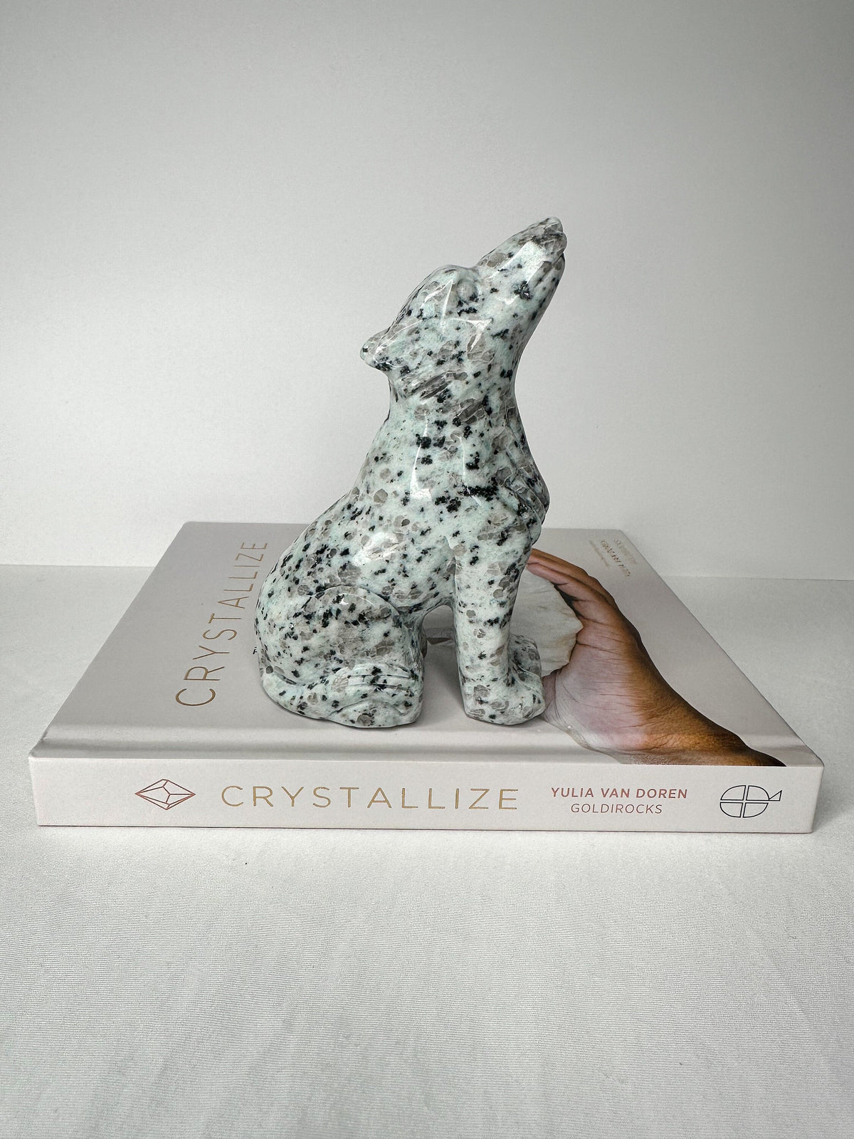 Large Kiwi Jasper Wolf, Kiwi Jasper Wolf Carving, Crystal Wolf Carving, Kiwi Jasper, Kiwi Jasper Wolf, Spirit Animal, Sesame Jasper