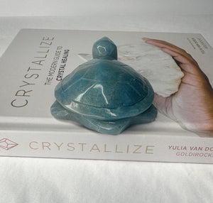 Trolleite Turtle Crystal - Tranquil Meditation Stone for Inner Harmony