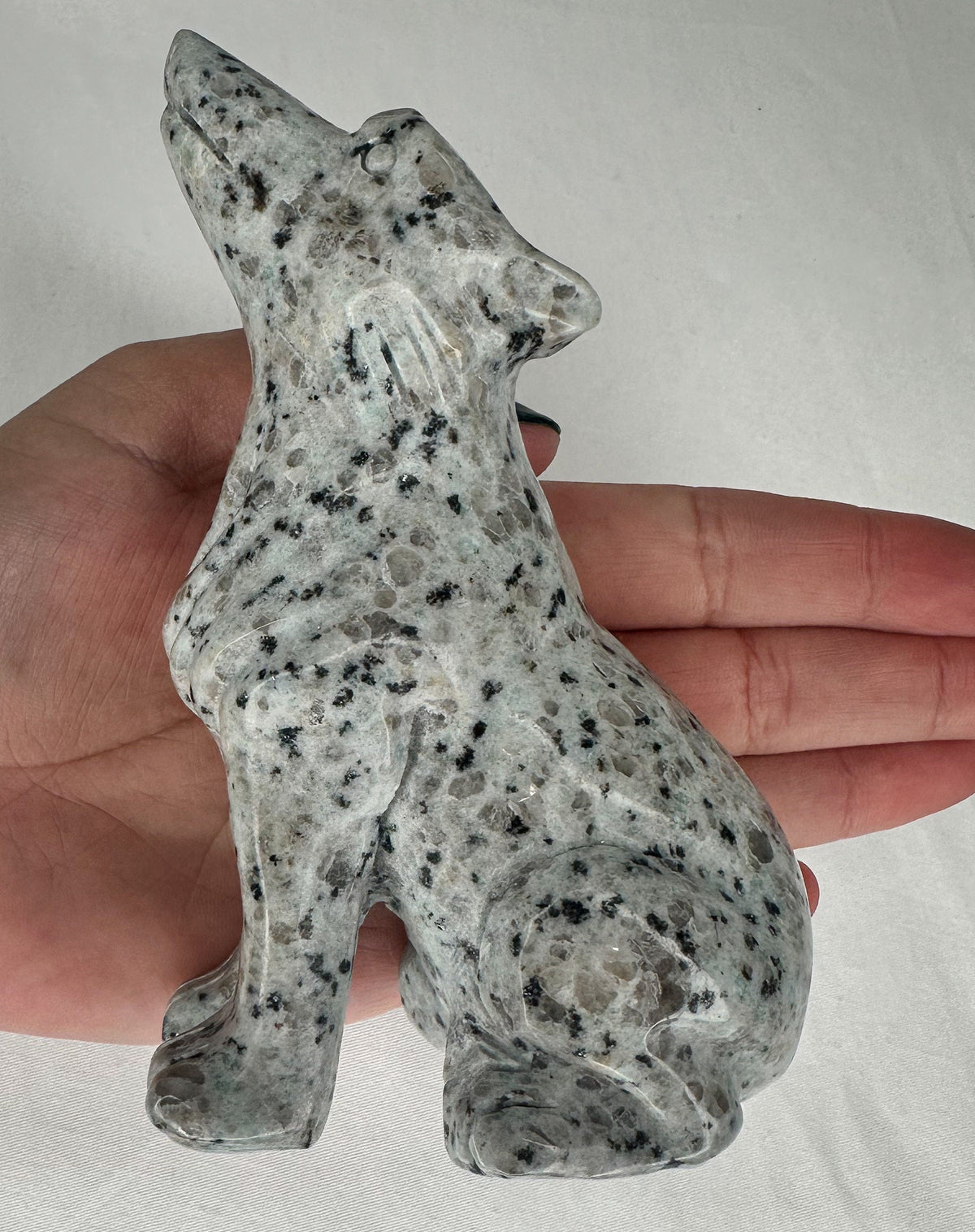 Large Kiwi Jasper Wolf Carving