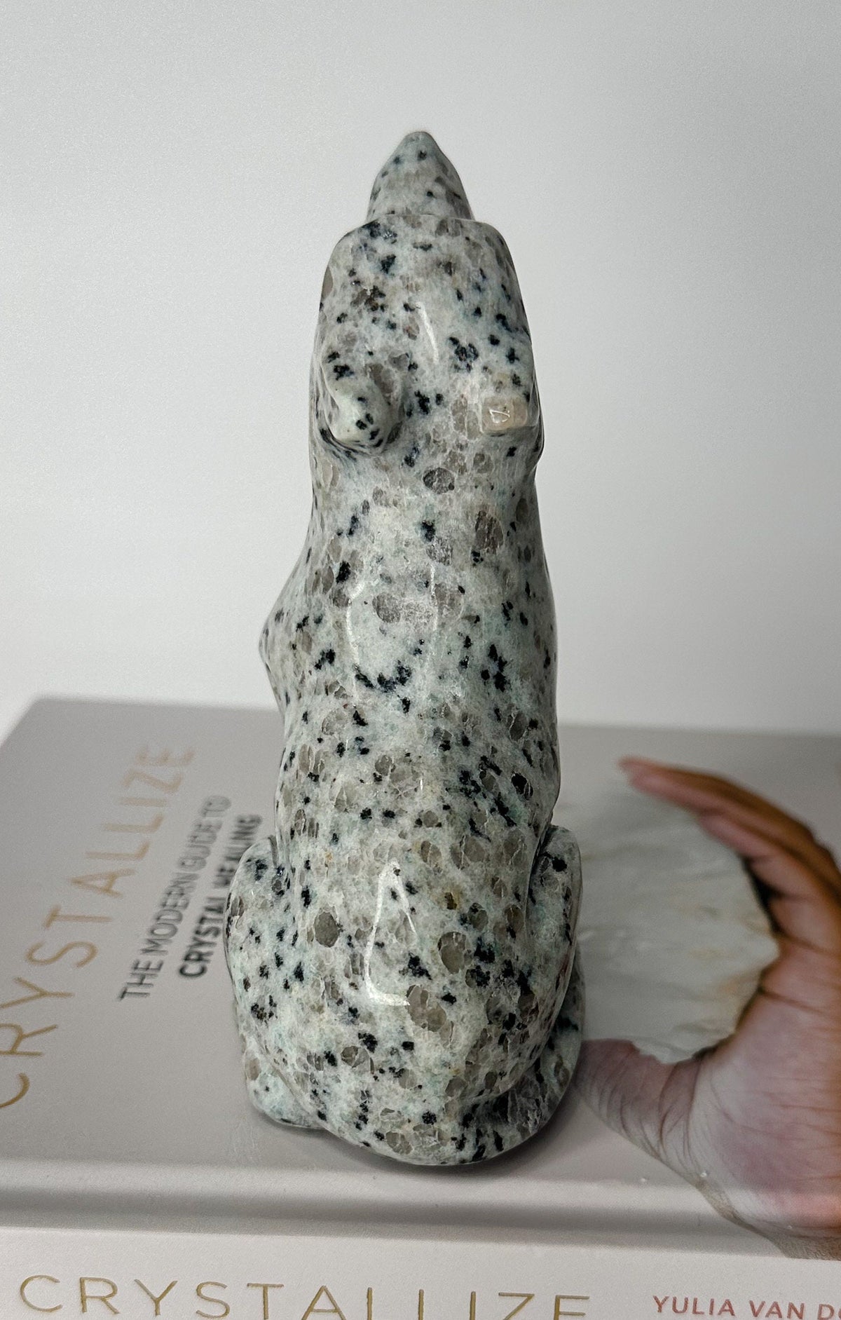 Large Kiwi Jasper Wolf Carving