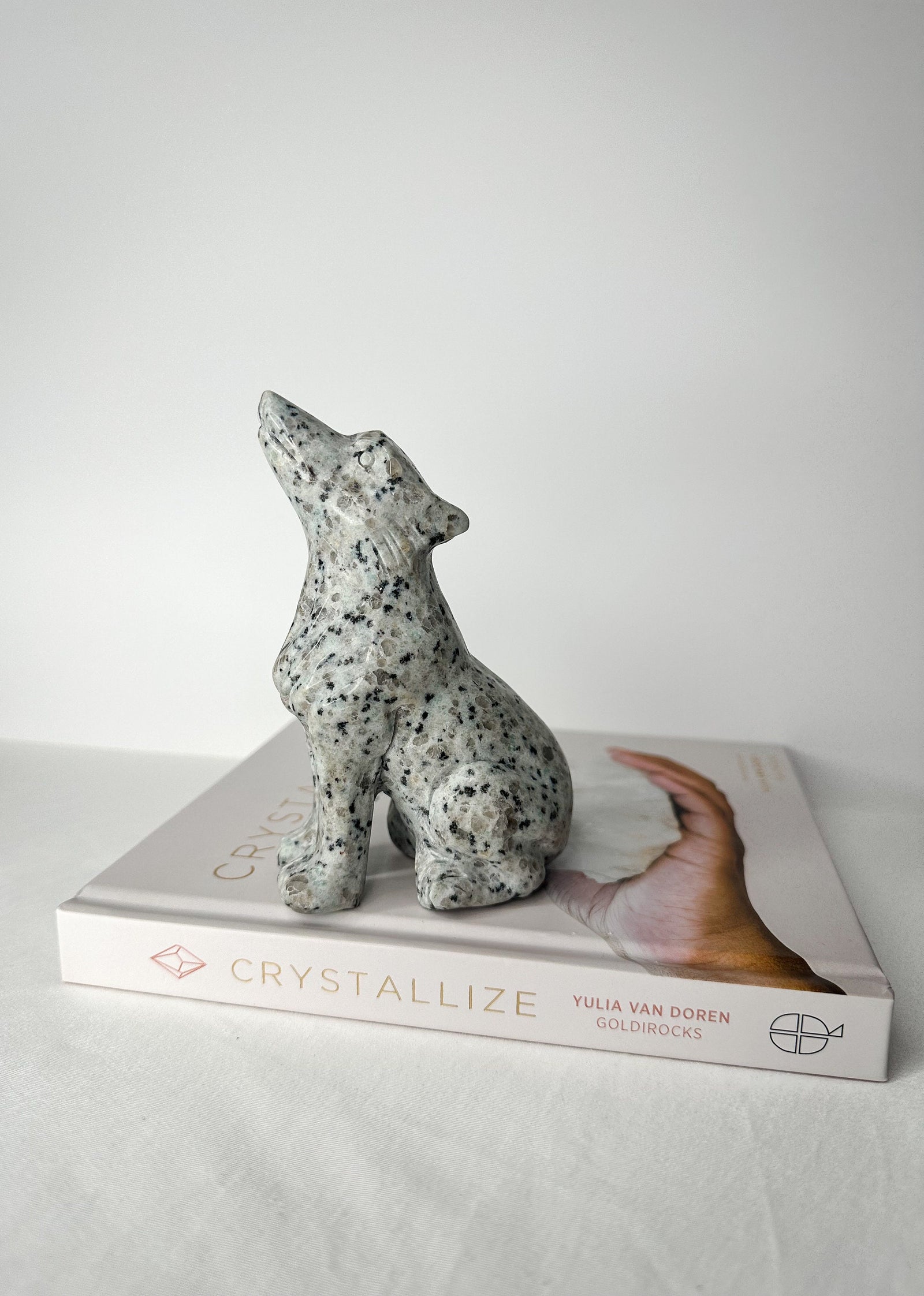 Large Kiwi Jasper Wolf, Kiwi Jasper Wolf Carving, Crystal Wolf Carving, Kiwi Jasper, Kiwi Jasper Wolf, Spirit Animal, Sesame Jasper