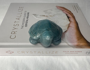 Trolleite Turtle Crystal - Tranquil Meditation Stone for Inner Harmony