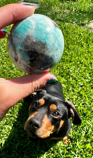 Captivating Amazonite Sphere - 242g