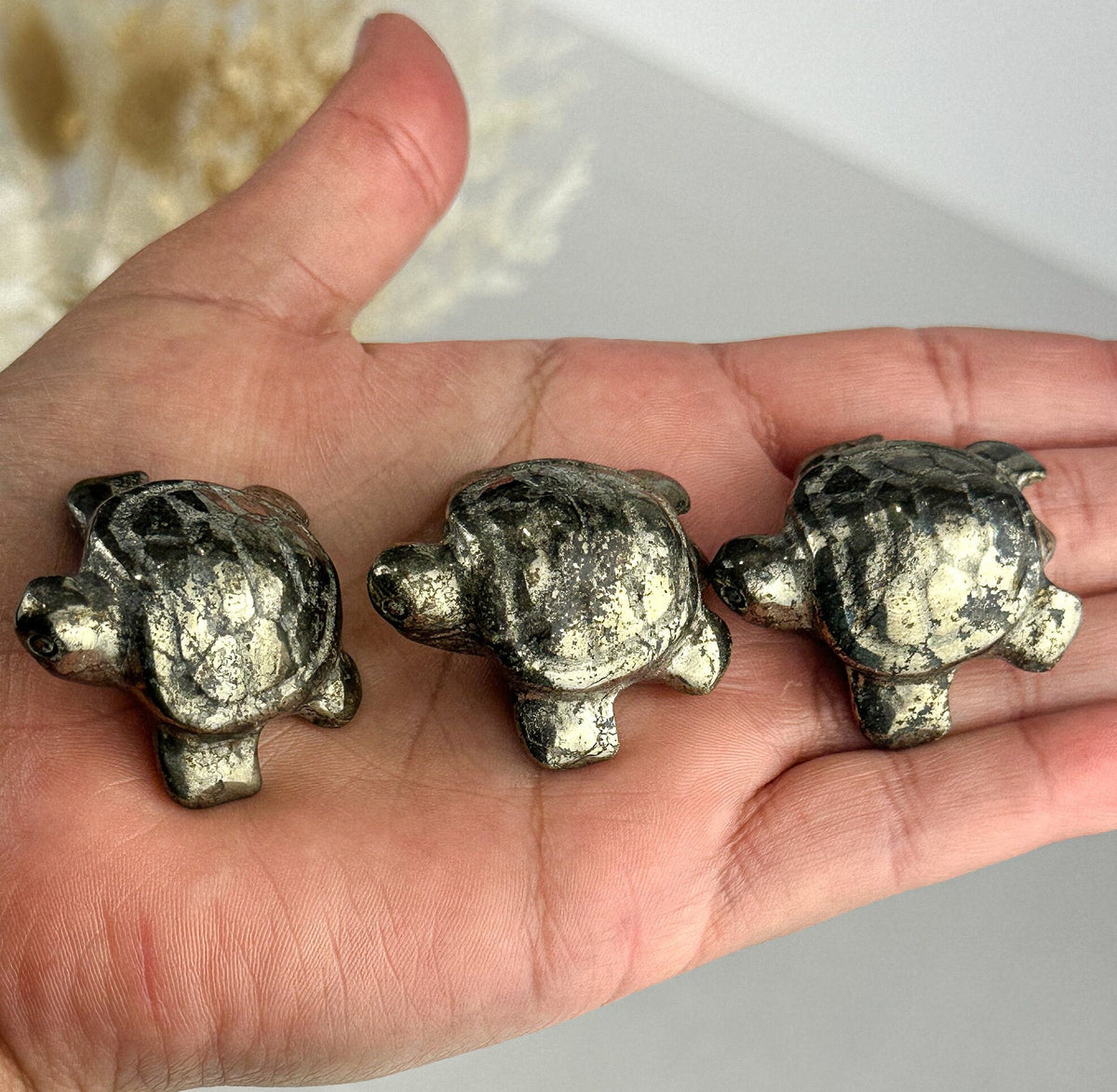 Intuitively Picked Small Pyrite Turtle - Abundance and Prosperity