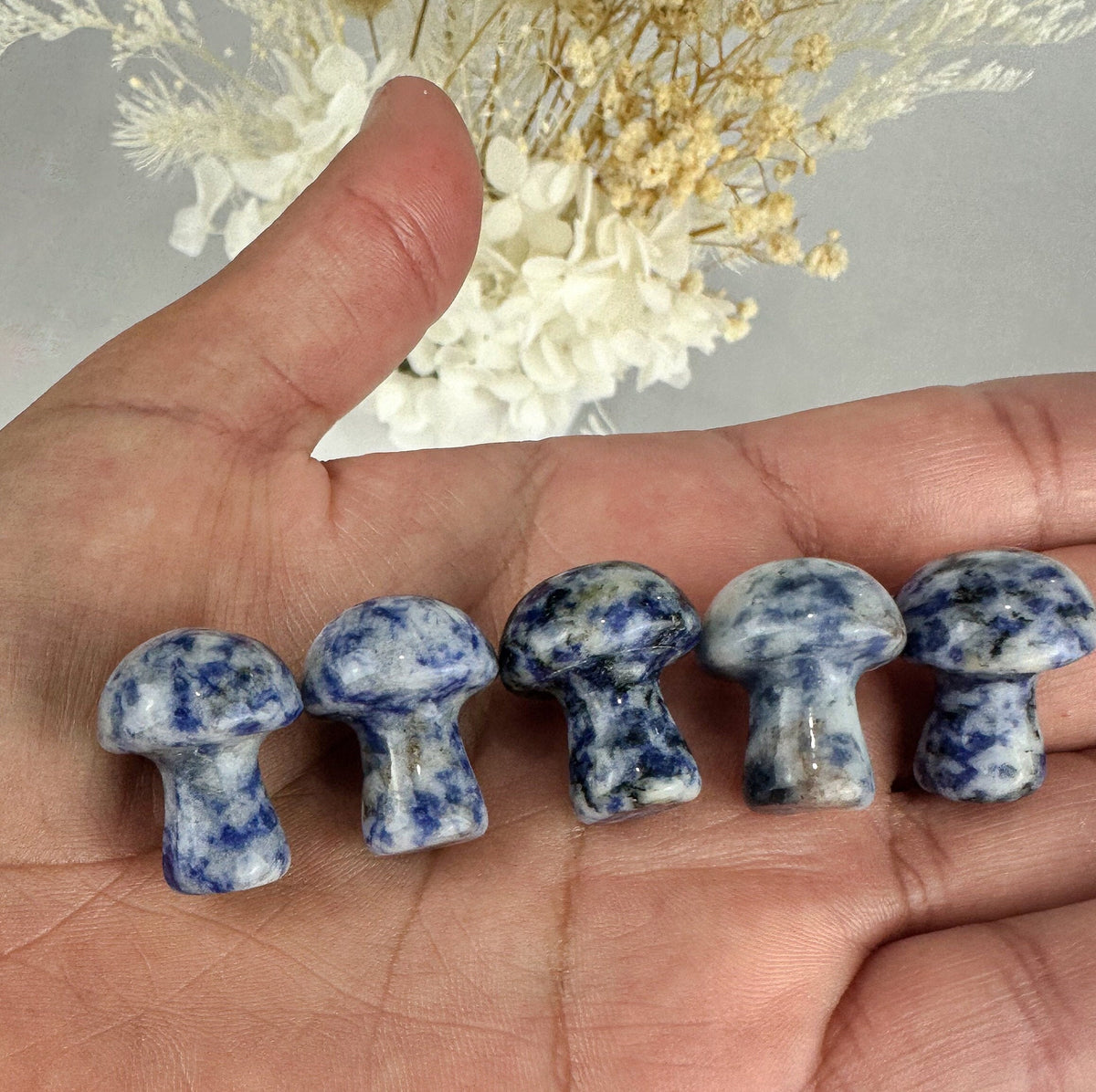Sodalite Mini Mushroom Carving - Intuitively Chosen