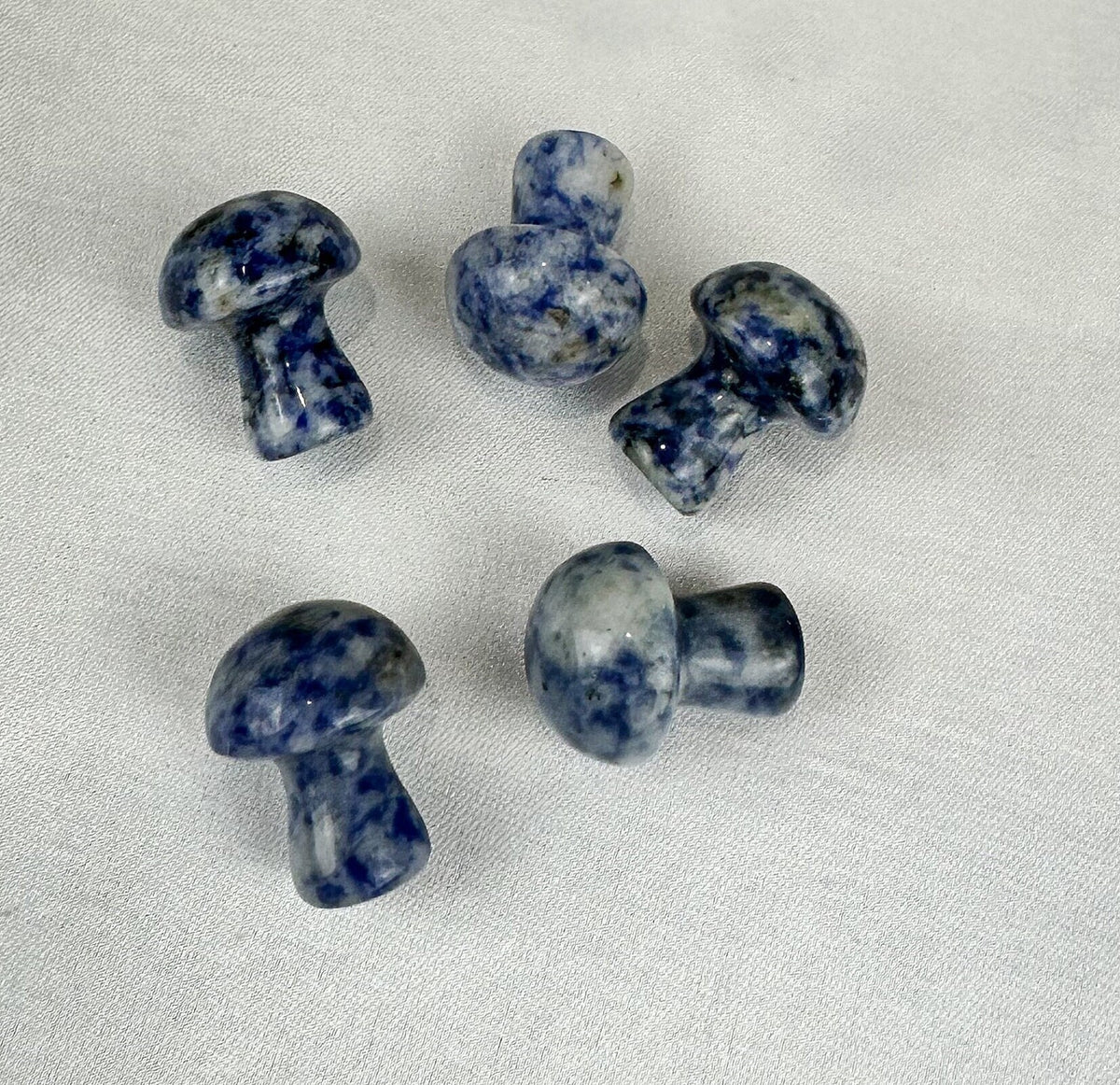 Sodalite Mini Mushroom Carving - Intuitively Chosen