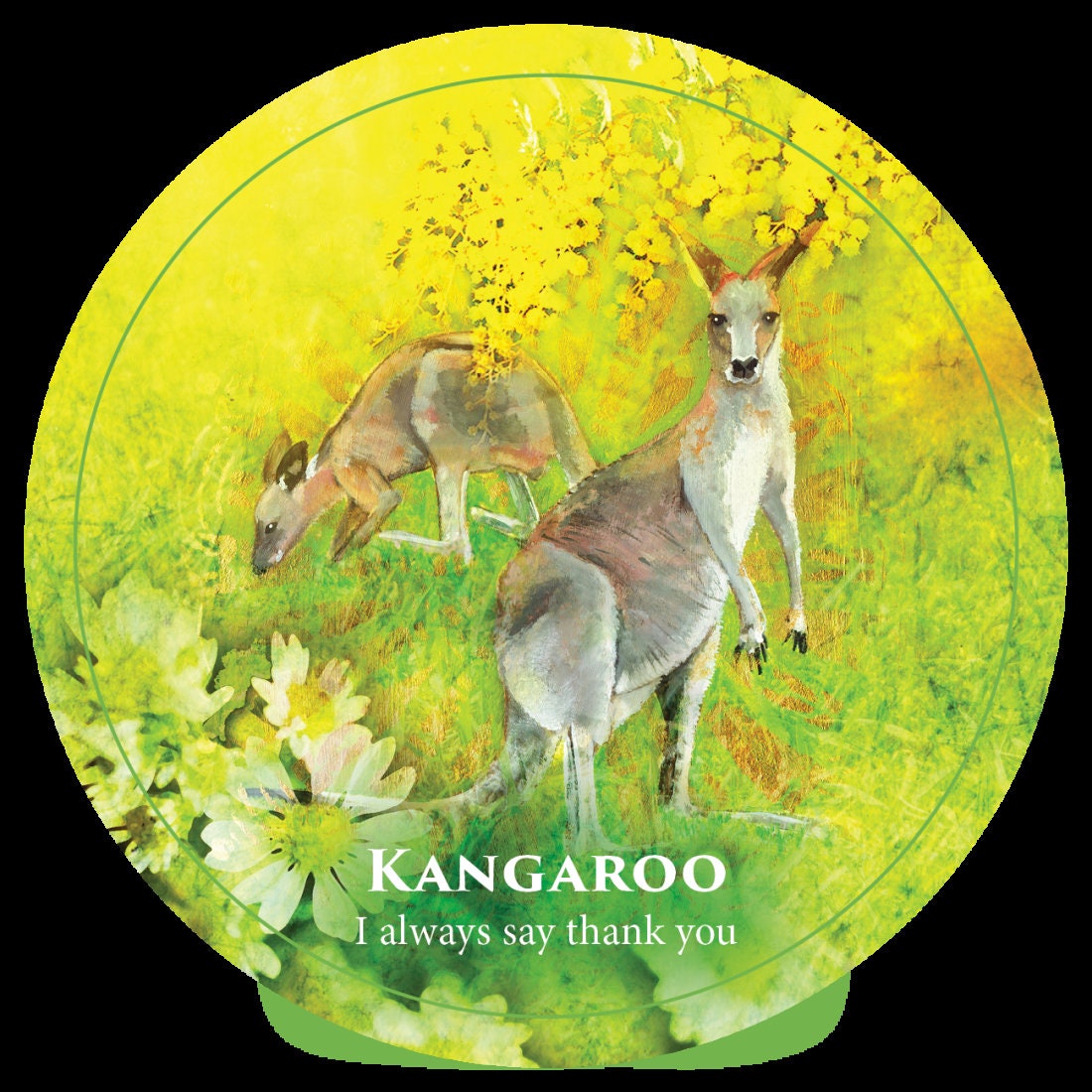 Creature Teacher Cards for Kids - Positive Affirmation Oracle Deck