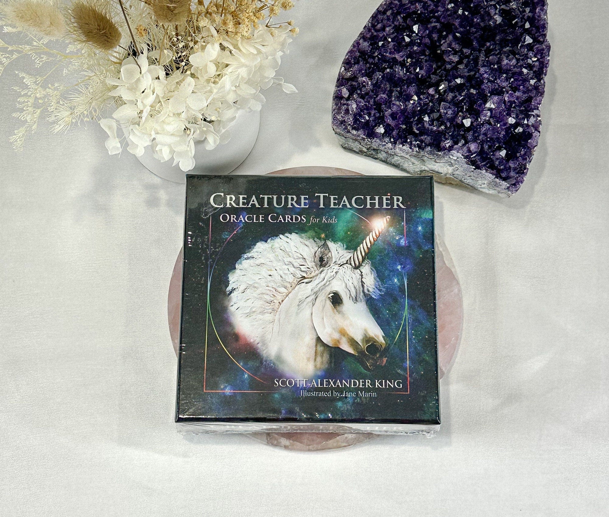 Creature Teacher Cards for Kids - Positive Affirmation Oracle Deck - Scott Alexander King - Brand New Sealed - Animal Dreaming Publishing