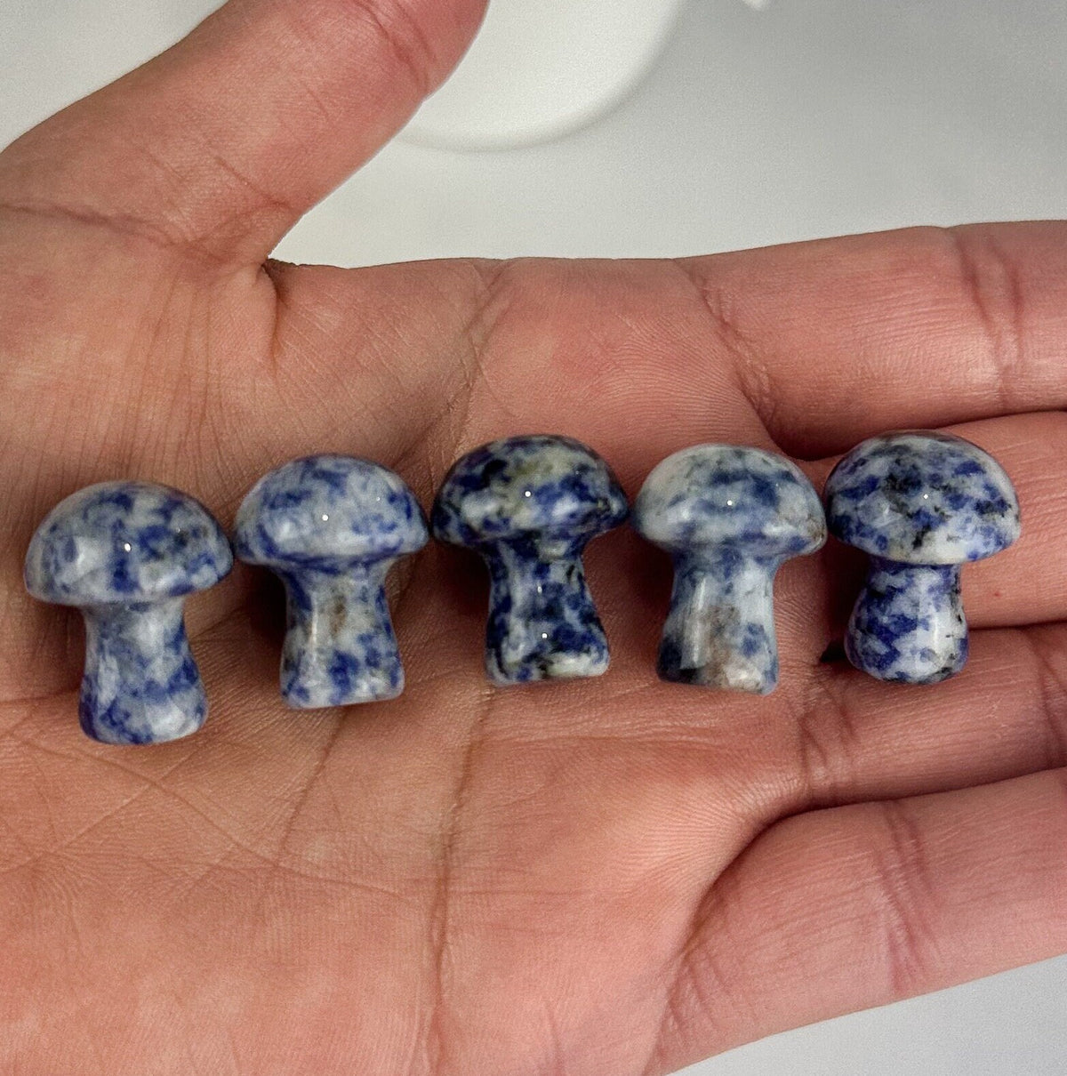 Sodalite Mini Mushroom Carving - Intuitively Chosen