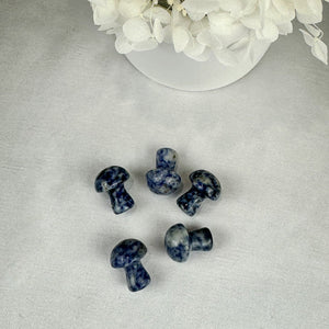 Sodalite Mini Mushroom Carving - Intuitively Chosen