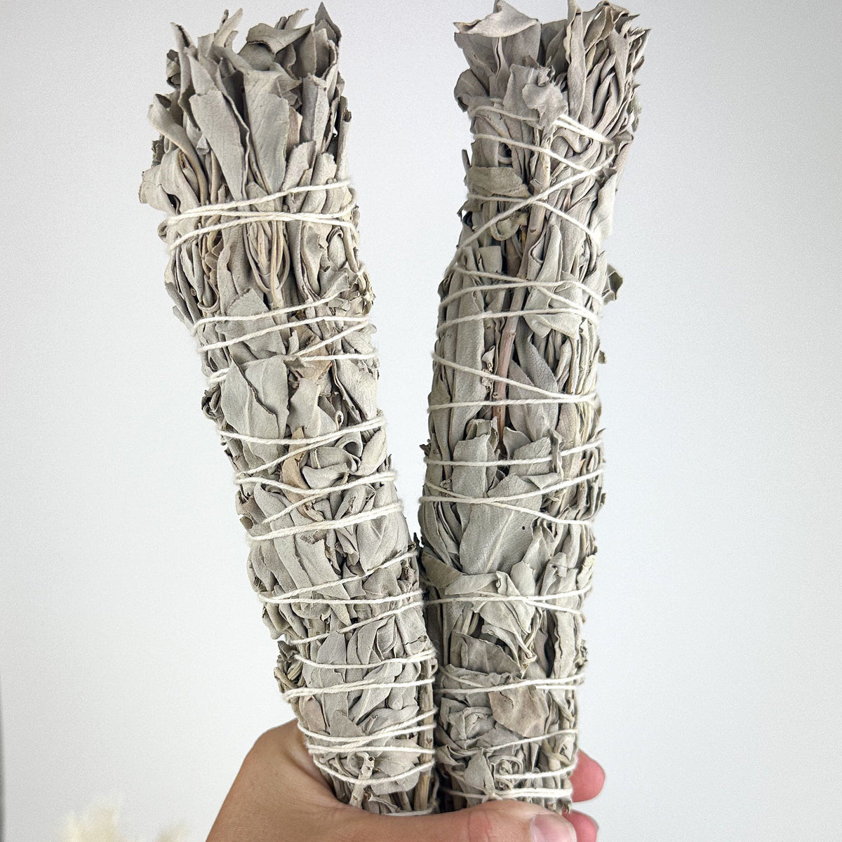 Organic XL Sage Wand - Approximately 22cm Length